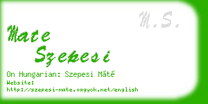 mate szepesi business card