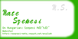 mate szepesi business card